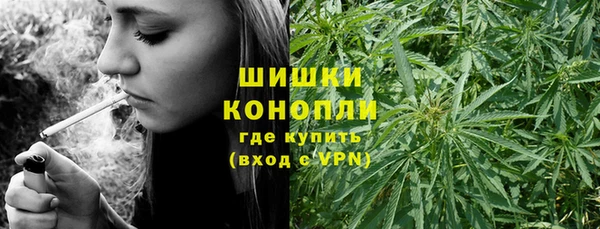 прущие грибы Богородицк
