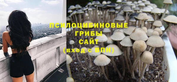 прущие грибы Богородицк