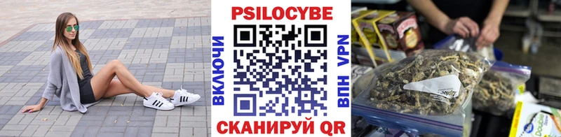 сайты даркнета наркотические препараты Медынь Псилоцибиновые грибы мицелий